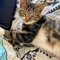 Thumbnail photo of Maximus (Max) #1