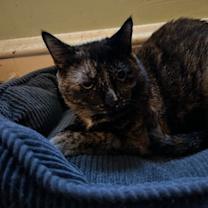 Thumbnail photo of Ella #2