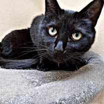 Thumbnail photo of Berlin #1