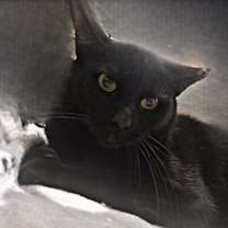 Thumbnail photo of Berlin #3