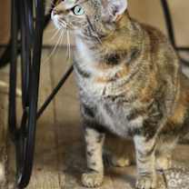 Thumbnail photo of Brandie #3