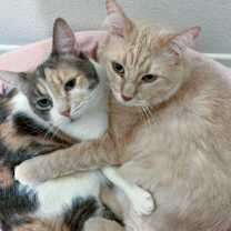 Thumbnail photo of Caitlyn #3