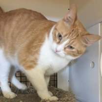 Thumbnail photo of Larry #4