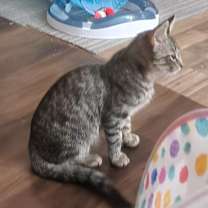 Thumbnail photo of Marty #2