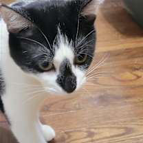 Thumbnail photo of Friday #3