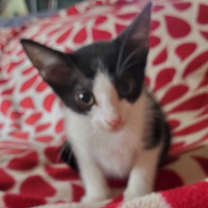 Thumbnail photo of Caoimhe #1