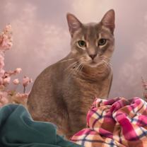 Thumbnail photo of Mushy #2