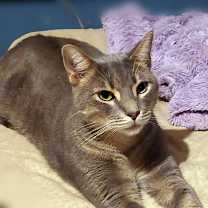 Thumbnail photo of Mushy #3