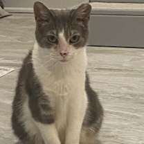 Thumbnail photo of Peanut #2