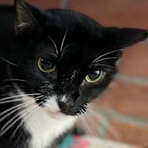 Thumbnail photo of Mimi #2