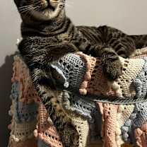 Thumbnail photo of Penny #3