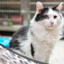 Thumbnail photo of Mister #1