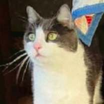 Thumbnail photo of Stockton #1