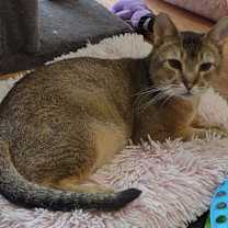Thumbnail photo of Landon #3