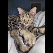 Thumbnail photo of Squish #1