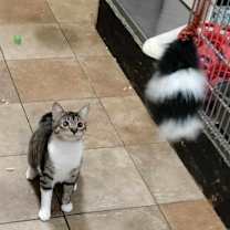 Thumbnail photo of RACHEL VALDEZ #2