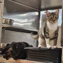 Thumbnail photo of RACHEL VALDEZ #3