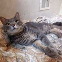 Thumbnail photo of Lex #2