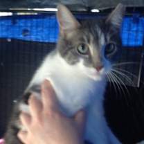 Thumbnail photo of Mousie #3