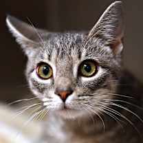 Thumbnail photo of Regina: Courtesy Post #1