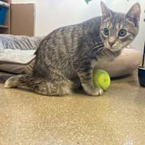 Thumbnail photo of Regina: Courtesy Post #2