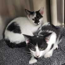 Thumbnail photo of WYNN AND VANCE #1