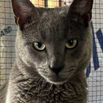 Thumbnail photo of Harry #1