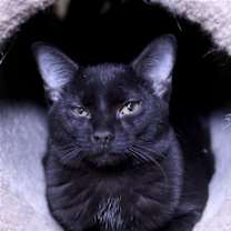 Thumbnail photo of Karina #1