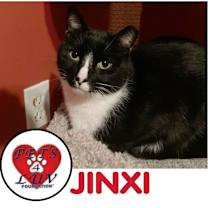 Thumbnail photo of Jinxy Mineola #1