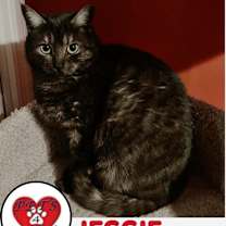 Thumbnail photo of Jessie Mineola #1