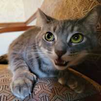 Thumbnail photo of Margo #1