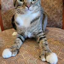 Thumbnail photo of Muriel #1