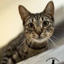 Thumbnail photo of Milo #2