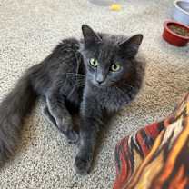 Thumbnail photo of Storm #3