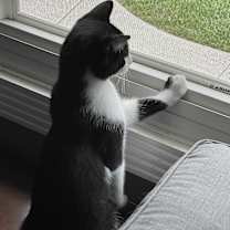 Thumbnail photo of Herman #2