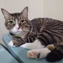 Thumbnail photo of Latte #2