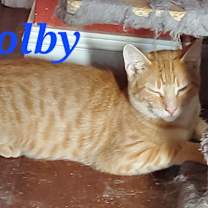 Thumbnail photo of Colby #1