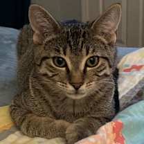 Thumbnail photo of Blake #4