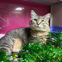 Thumbnail photo of Sylvie #1