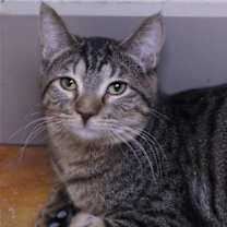 Thumbnail photo of Beth #1