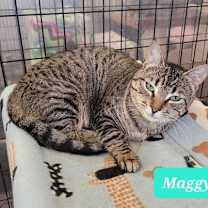 Thumbnail photo of Maggy-Sponsored #3