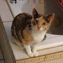 Thumbnail photo of MELISSA McCALL #2