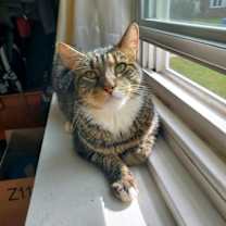Thumbnail photo of Carleton #2