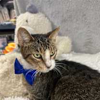 Thumbnail photo of FRED #3