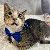 Thumbnail photo of FRED #4