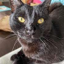 Thumbnail photo of Jasper #4