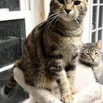 Thumbnail photo of Nikita #1