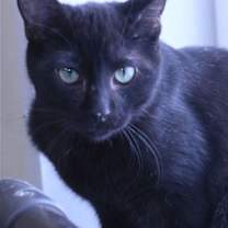 Thumbnail photo of Karina #2