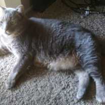 Thumbnail photo of Tubster #1