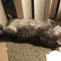 Thumbnail photo of Tubster #3